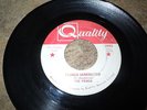 The fringe Flower Generation 45 Canadian Garage PSYCH