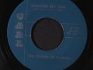 SOUNDS OF RANDALL: Wasting My Time 45 Hear  (disc close to M-) Rock & Pop