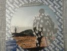 pink floyd lp 33giri brasil sony928.010 delicate sound of Thunder picture disc
