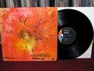 DOLDINGER`S MOTHERHOOD Original Liberty 1970 Jazz Prog Psych LP