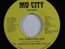 Funk/Sweet Soul 45 DANI RAYE & NATURE'S WAY Try Something New MO-CITY HEAR