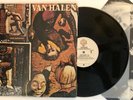 Van Halen - Fair Warning - 1981 US 1st Press (NM) In Shrink Ultrasonic Clean