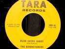 THE BIRDWATCHERS VERY RARE 1964 MIAMI GARAGE ROCK 45 BLUE SUEDE SHOES HEAR IT