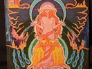 Hawkwind: Space Ritual Orig. '73 2xLP w/ Fold-Out Poster Cover