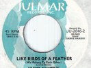 Northern 60's Soul/Deep Soul-Jimmy Hambric-Like Birds Of A Feather-US Julmar