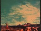 Noel Gallagher High Flying Birds - Who Built The Moon? (White) Vinyl