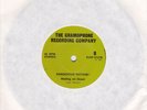 DANGEROUS RHYTHM waiting on green ELLIE JAY 1981 7