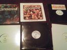 Psycho Realm, street platoon, sick symphonies,  Funkdoobiest and Delinquent 12