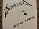 Metallica Harvester of Sorrow 7