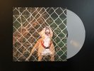 Knocked Loose - Pop Culture (Grey) Vinyl LP