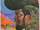 BUDDY MILES ...A Message To The People 1971 White Label PROMO LP Abdul Mati ART