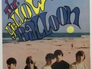The YELLOW BALLOON s/t 1967 US MONO Sunshine POP Psych LP Don GRADY Daryl DRAGON