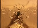 Jay Z/Kanye West ?Watch The Throne 2xLP Picture Disc Gold Mirror Jacket + Poster