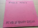 PABLO MOSES // REVOLUTIONARY DREAM / PENETRATE  // -LP'' Listen