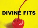 DIVINE FITS-THING CALLED DIVINE FITS (US IMPORT) VINYL LP NEW