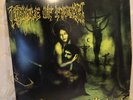 cradle of filth thornography