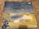 David Thomas More Places Forever Vinyl Record 1985 Rough Trade Pere Ubu