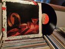 RICH KIDS GHOSTS OF PRINCES IN TOWERS LP RECORD