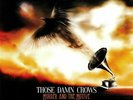 THOSE DAMN CROWS - Murder & The Motive - Vinyl (LP)