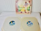 1973 Elton John Goodbye Yellow Brick Road 2LP Record Vinyl MCA2-10003, VG