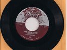 Dusty Brown Parrot 820 Chicago harmonica blues C W Triplett Joe Little 45 rpm