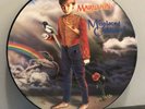 MARILLION MISPLACED CHILDHOOD PICTURE DISC ROCK LP ALBUM 12