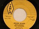 THE SUPREMES I Want A Guy / Never Again TAMLA Northern Soul Detroit