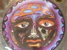 Sublime - Picture Disc Mega Lot - 77 Records, Skunk Records, Erika Records Rare