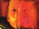 Alice In Chains Jar Of Flies SAP Limited Edition LP Vinyl Record Album Import