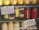 Stack Waddy-The Lost Dandelion Jams VINYL NEUF