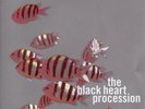 BLACK HEART PROCESSION & SOLBA - In the Fishtank, Vol. 11