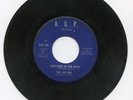 Northern Soul 45 Ad-Libs- New York In The Dark- AGP