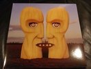PINK FLOYD - The Division Bell - VINYL LP record