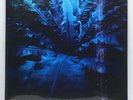 Hum - Downward is Heavenward 180-GM Vinyl 2xLP Record 2018 Reissue NEW