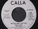 FUZZ: Mr. Heartaches And Miss Tears / Do Just What You Can 45 (dj, Sweet Soul d