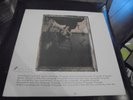 pixies surfer rosa