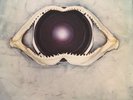 Leftfield Leftism - Original Rare Triple Vinyl Gatefold LP 1995