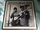 Chicago Blues LP : Johnny Young & Big Walter   Chicago Blues   Arhoodlie 1037