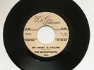NORTHERN SOUL 45-THE MAGNIFICENTS-MY HEART IS CALLING-DEE GEE-DJ