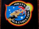 V/A - Molly's Aus Evolution - 2 x LP Vinyl AUS 1982 AC/DC Farnham Skyhooks