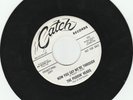 PUDDIN HEADS  - Catch 111 - Now You Say We're Through      California garage
