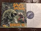 SAVOY BROWN - LOOKING IN LP UK DECCA ORIGINAL FIRST PRESSING