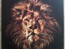John Butler Trio April Uprising 2 LP´s TOP für Vinyl - Sammler