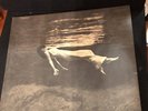 Undercurrent Bill Evans and Jim Hall Record