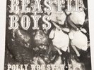 BEASTIE BOYS Polly Wog Stew 7