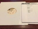 DESCENDENTS “Hall Raker” * TEST PRESS ADVANCE W/ Insert SST 205 Vinyl Record