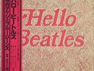 TAKESHI TERAUCHI HELLO BEATLES JAPAN HARD FUZZ GARAGE PSYCH 1ST ORG LP SKW-121/2