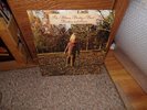SEALED THE ALLMAN BROTHERS BAND 