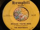 Rare Alabama Garage Northern Private 45 The Nightbeats Strategy/Because HEAR