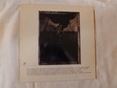 The Pixies- Surfer Rosa